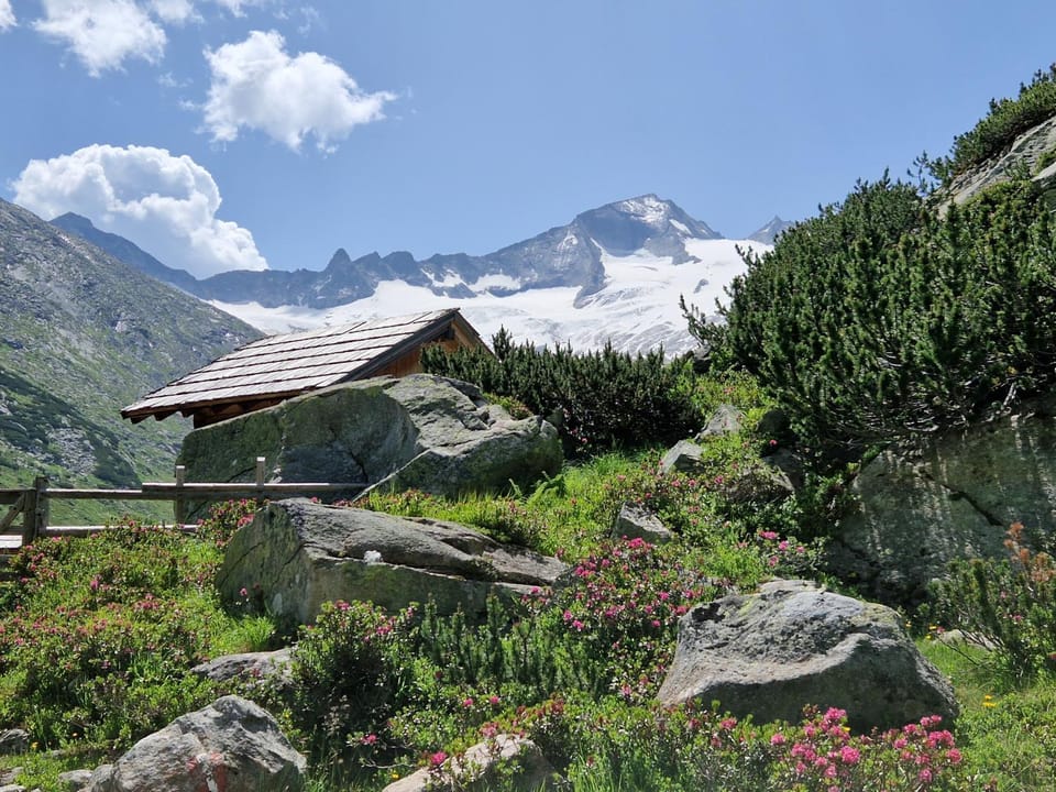 Pension Sonnenheim inkl ZomerKärntenCard Bed and Breakfast in Carinthia, Austria