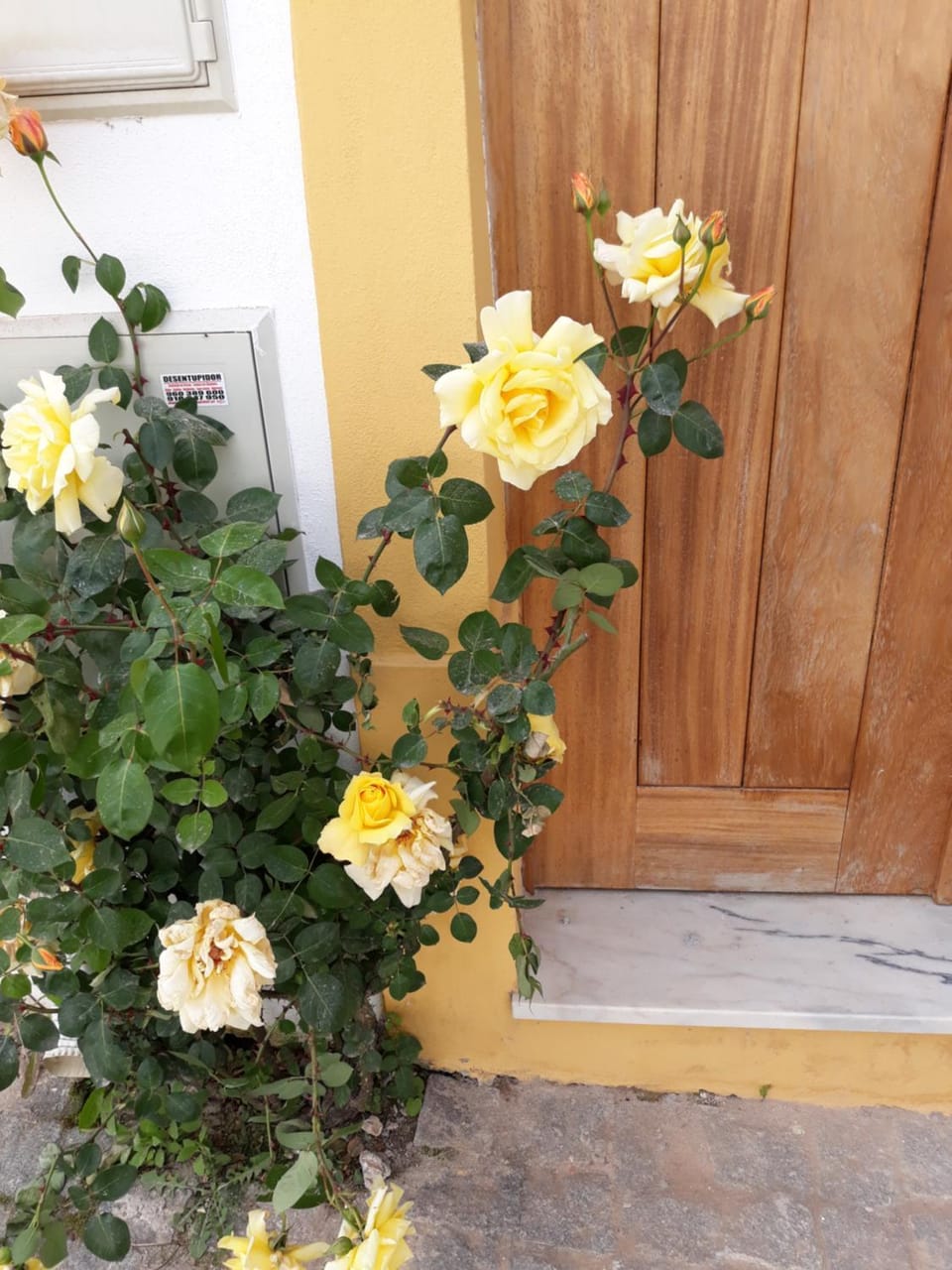 Casa d'Avó Apartment in Coimbra District, Portugal