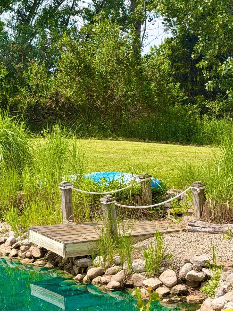 The Bella Ella Bed and Breakfast Bed and Breakfast in Finger Lakes