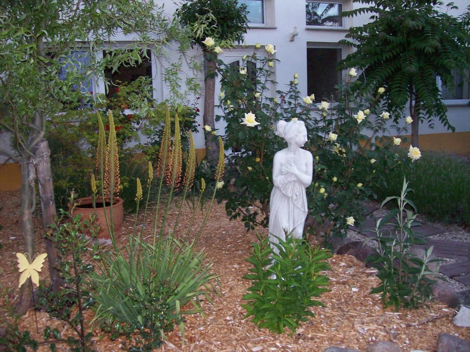 Property building, Garden view