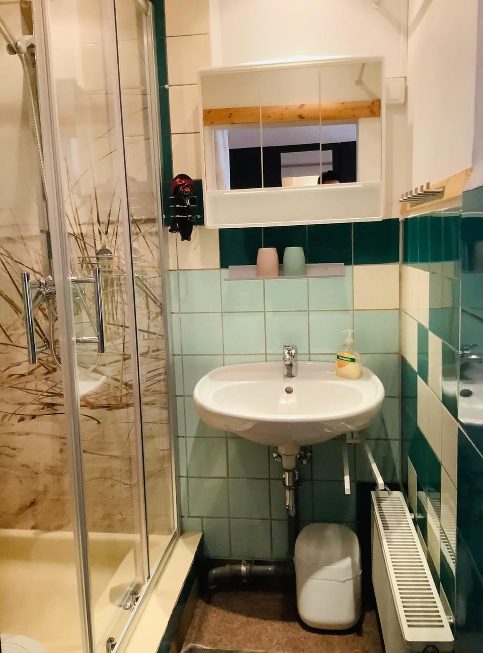schöne ruhige Ferienwohnung Apartment in Thuringia, Germany