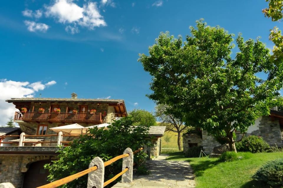 Natural landscape, Garden, Garden view