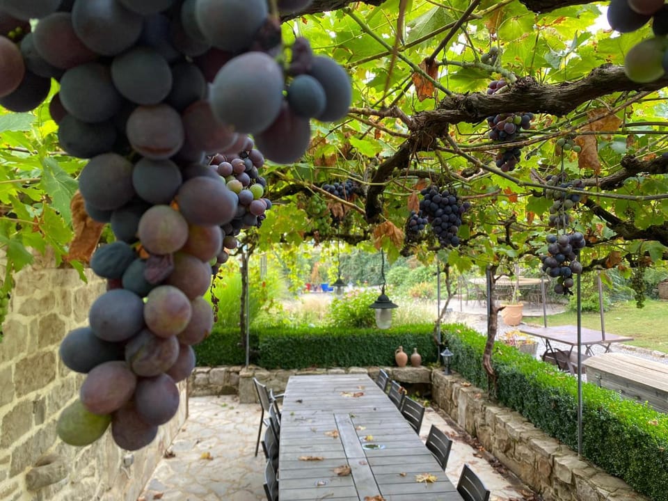 Balcony/Terrace, Balcony/Terrace