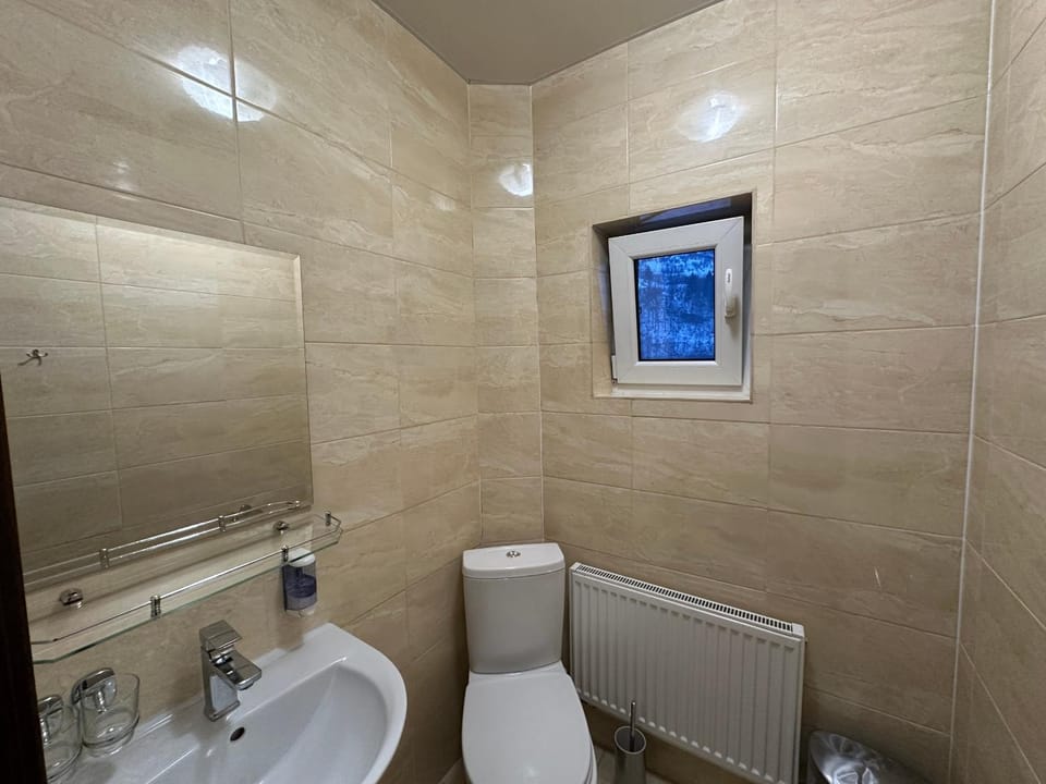 Toilet, Bathroom, internet