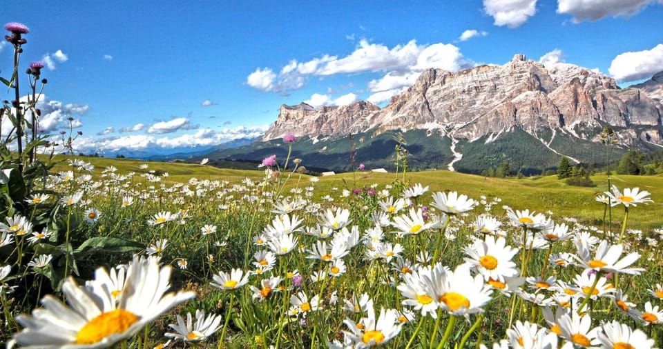 Day, Natural landscape