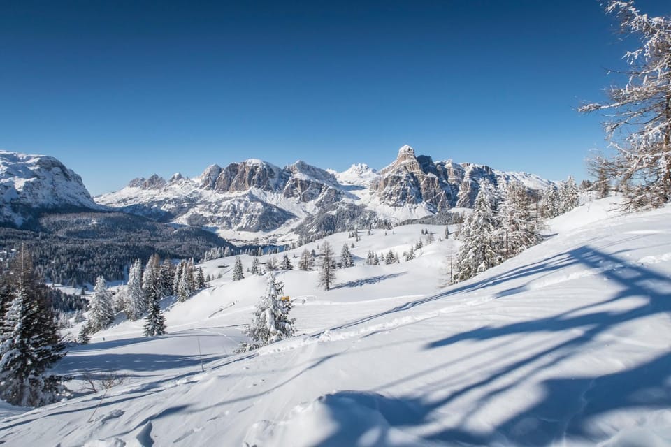 Ciasa Rosra Apartment in Trentino-South Tyrol