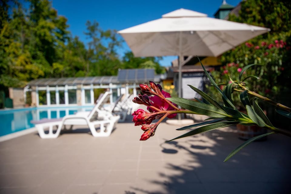 Balcony/Terrace, Swimming pool, Open Air Bath
