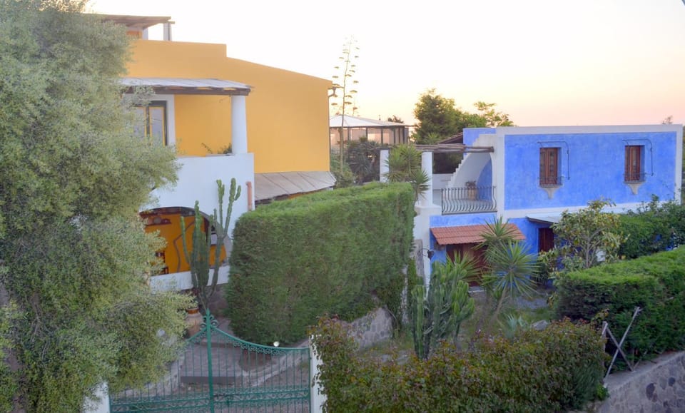 Property building, Neighbourhood, Garden
