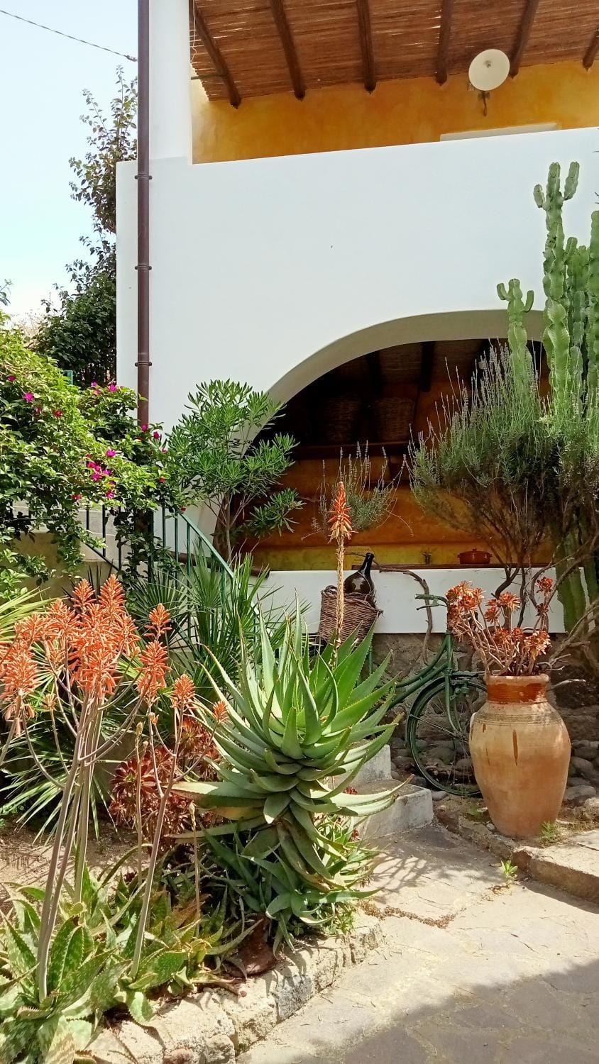 Property building, Patio, Facade/entrance, Garden, Garden
