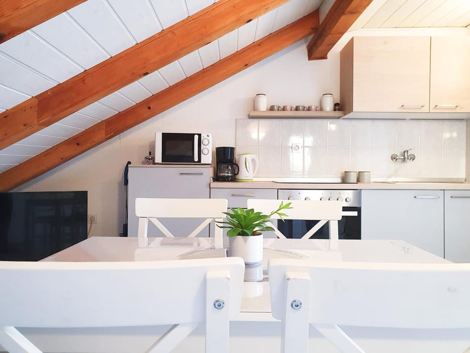 Kitchen or kitchenette, Dining area, oven, stove