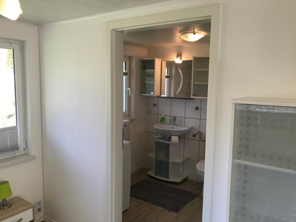 Ferienbungalow Grünbach Apartment in Saxony