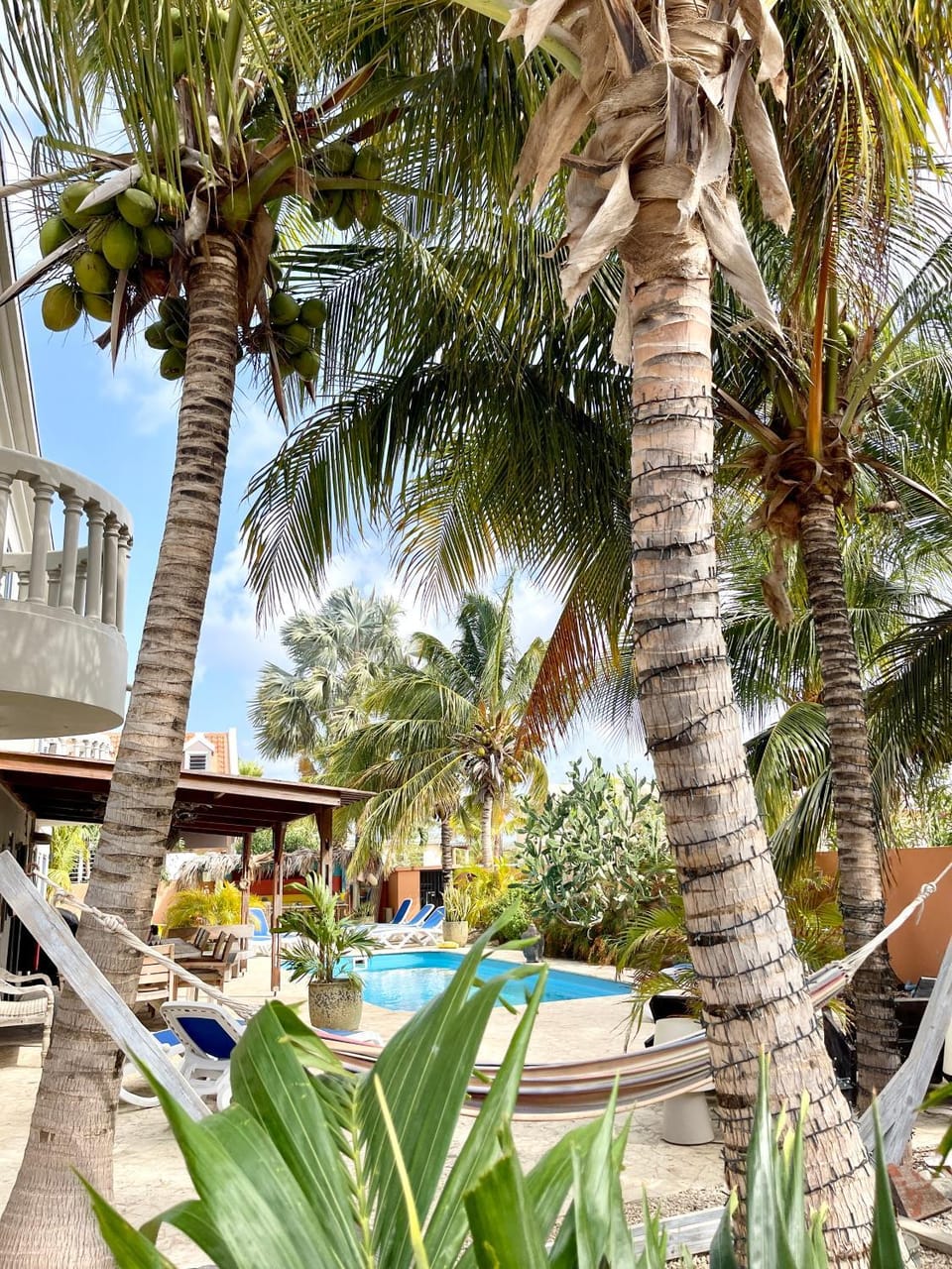 Garden, Garden view, Swimming pool