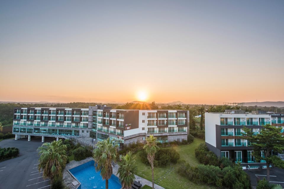 Property building, Garden, Sunset