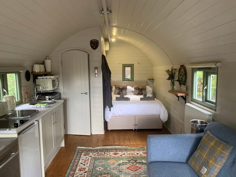 Bed, Kitchen or kitchenette, Living room, Photo of the whole room, Bedroom