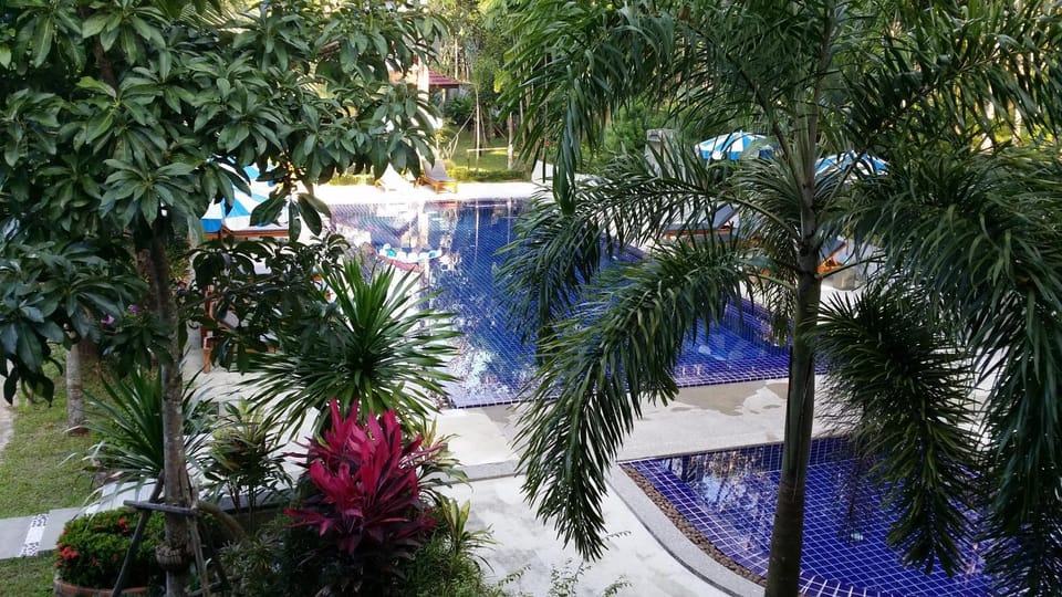 Pool view, Swimming pool