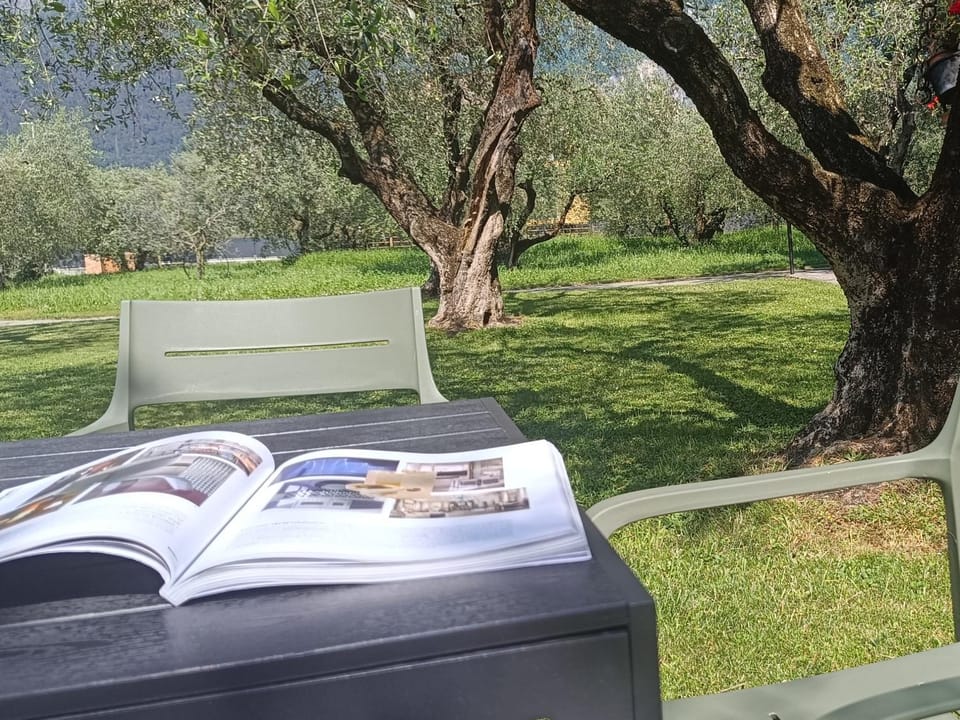 Day, Garden, Garden view