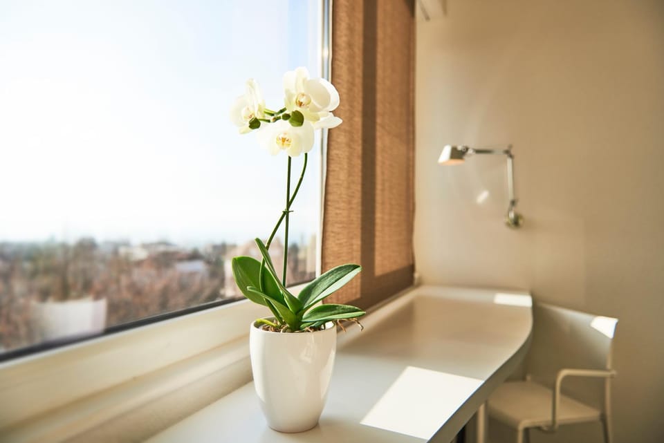 Day, Decorative detail