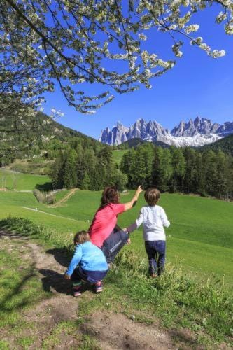 Natural landscape, Hiking, Family
