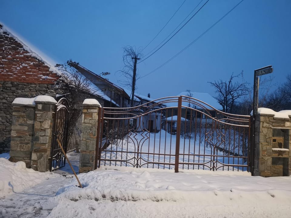 Winter