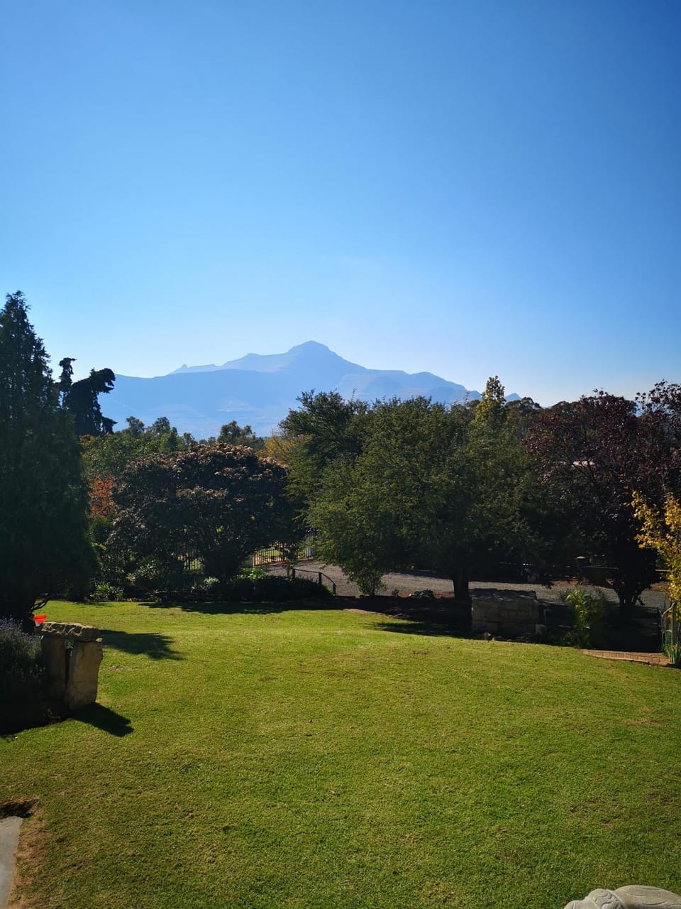 Garden, Garden view
