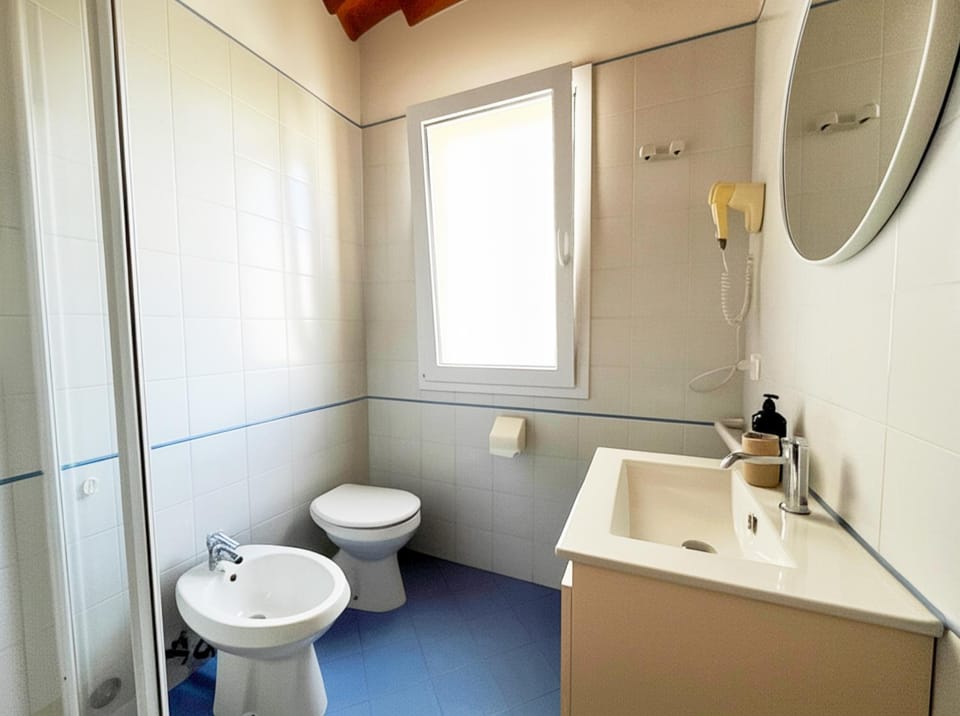 Shower, Toilet, Bathroom, bidet, hair dryier