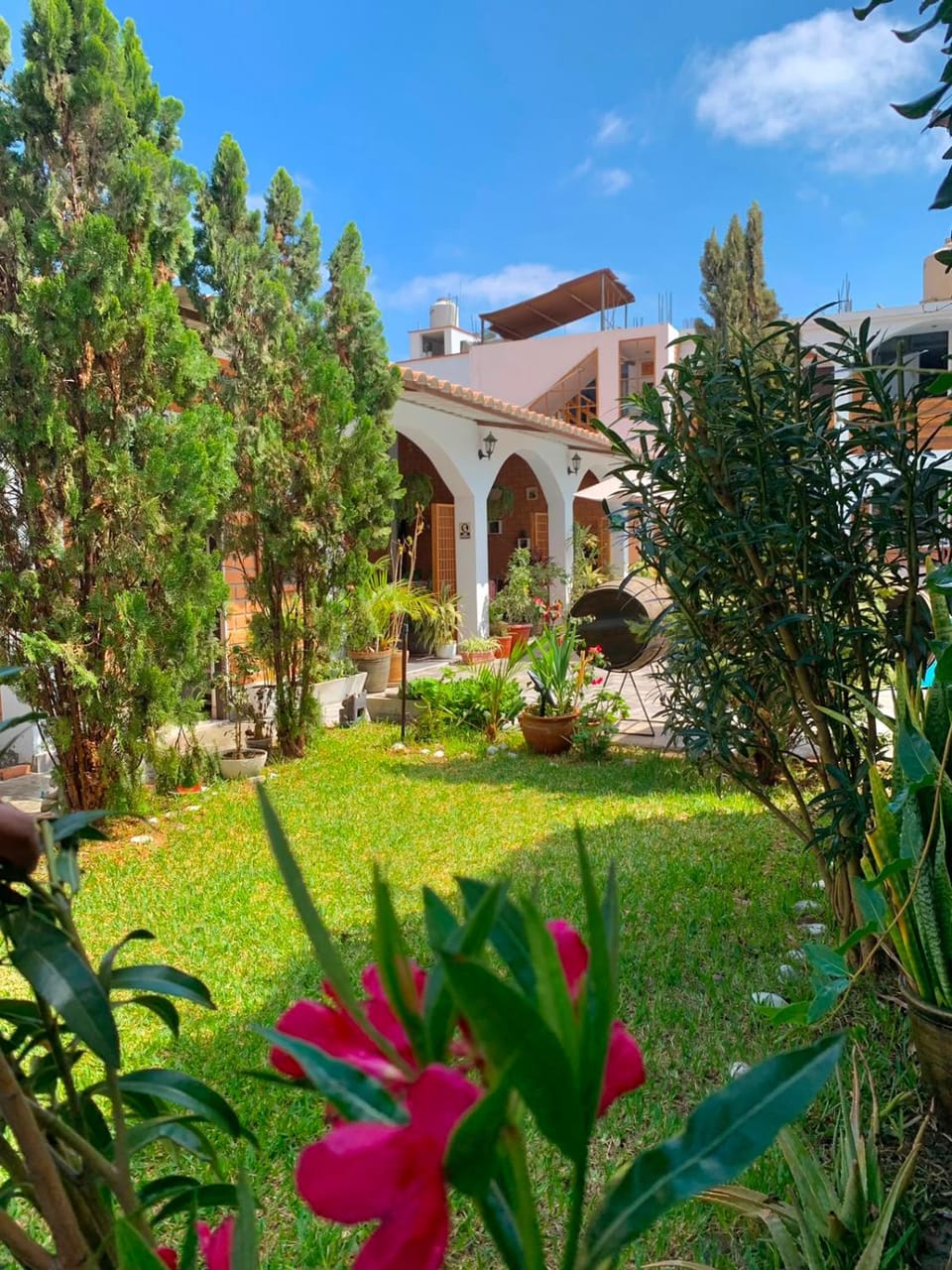 Garden