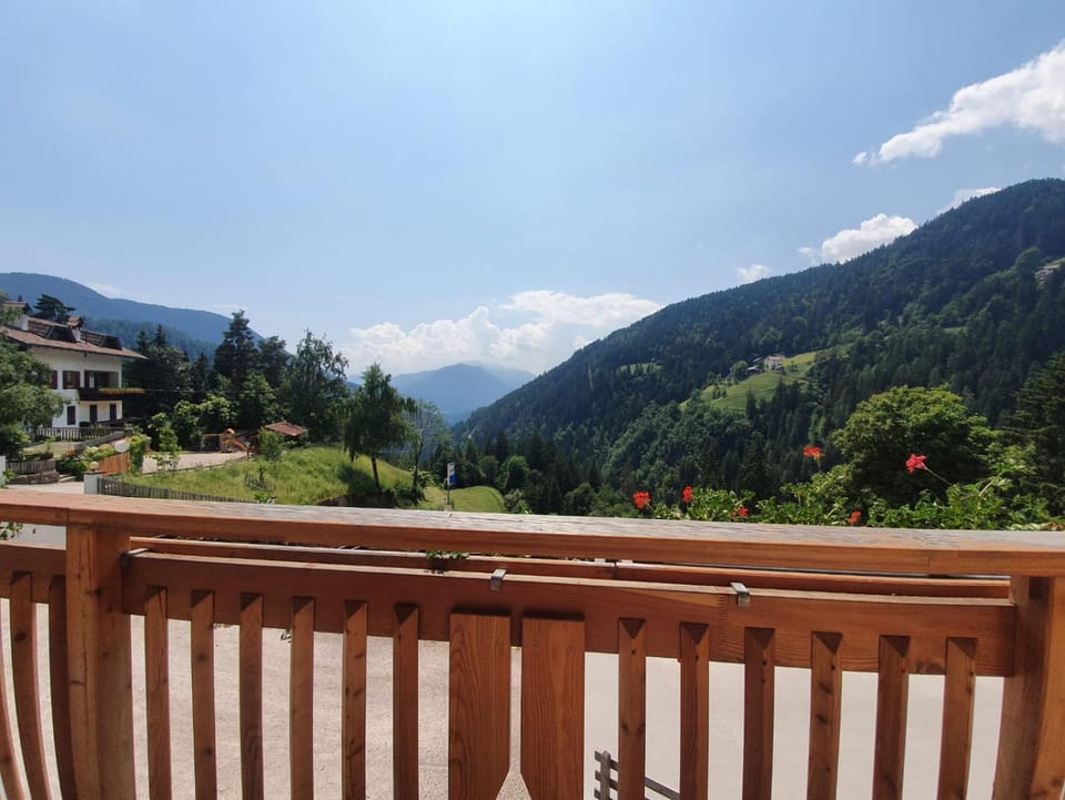 Mesnerhof Apartment in Trentino-South Tyrol