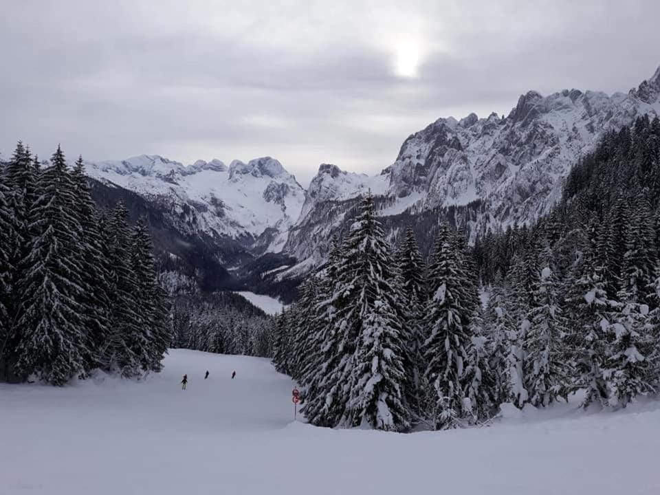 Dachstein view ski apartment Apartment in Salzburgerland