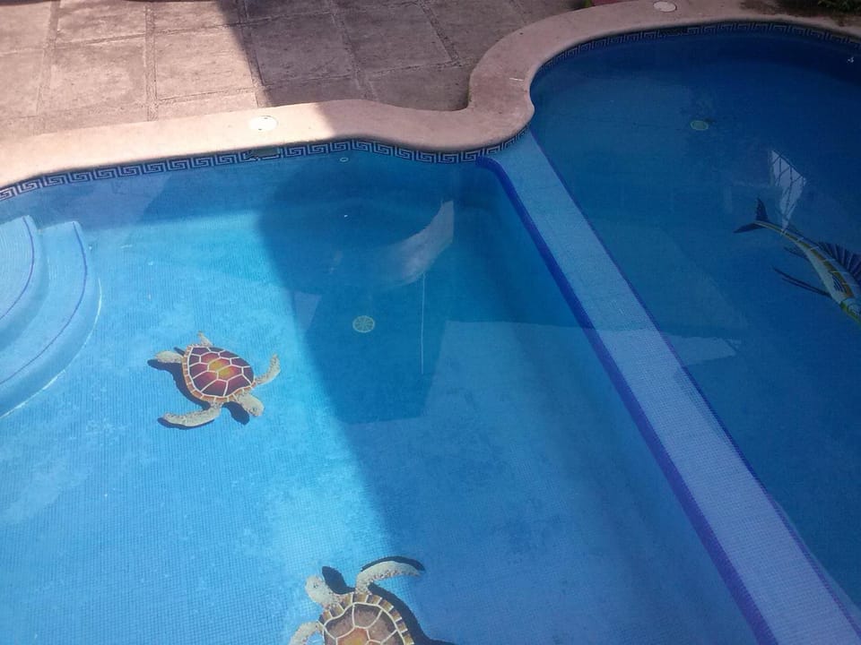 Pool view, Swimming pool