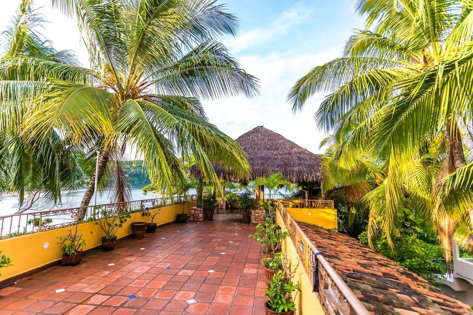 Garden view