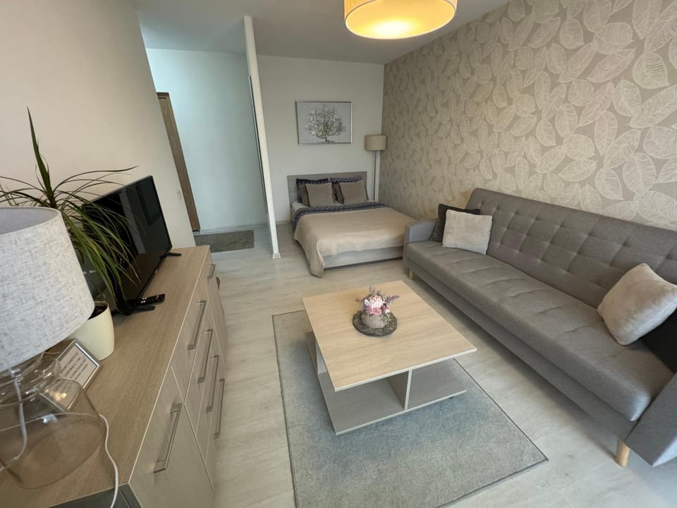 Bed, TV and multimedia, Living room, Seating area, Bedroom