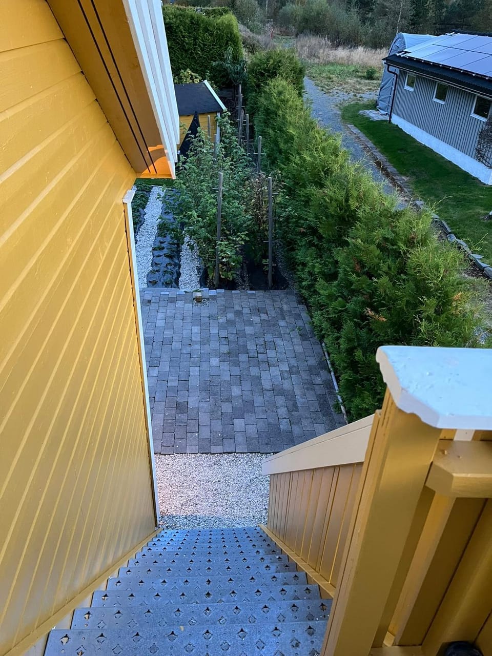 Garden view