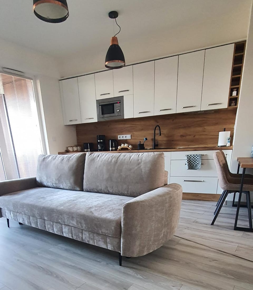 Kitchen or kitchenette, Living room, Seating area, dishwasher, stove