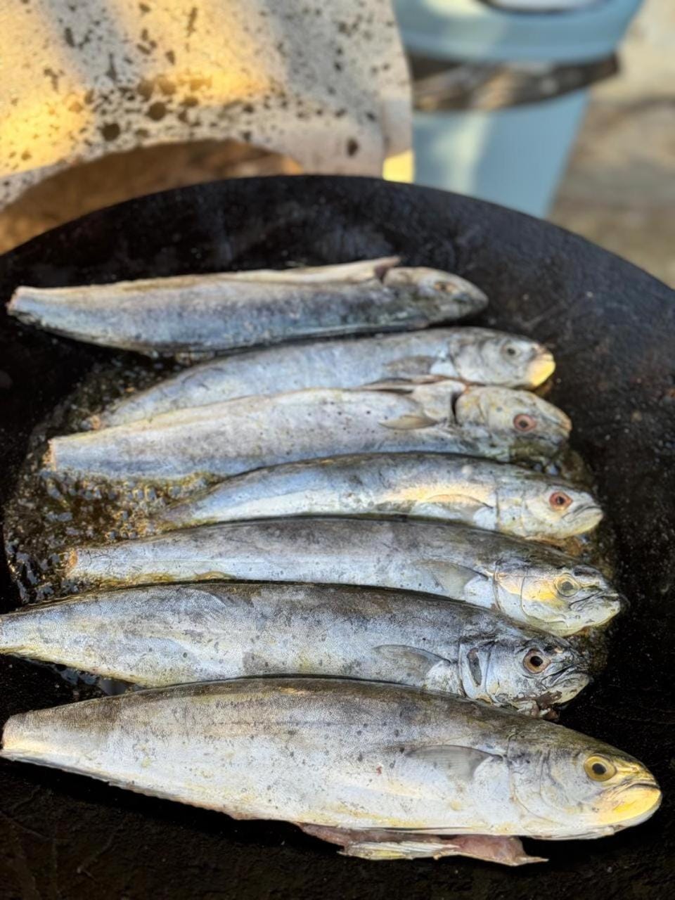 Vila Pegaz Apartment in Podgorica Municipality, Montenegro