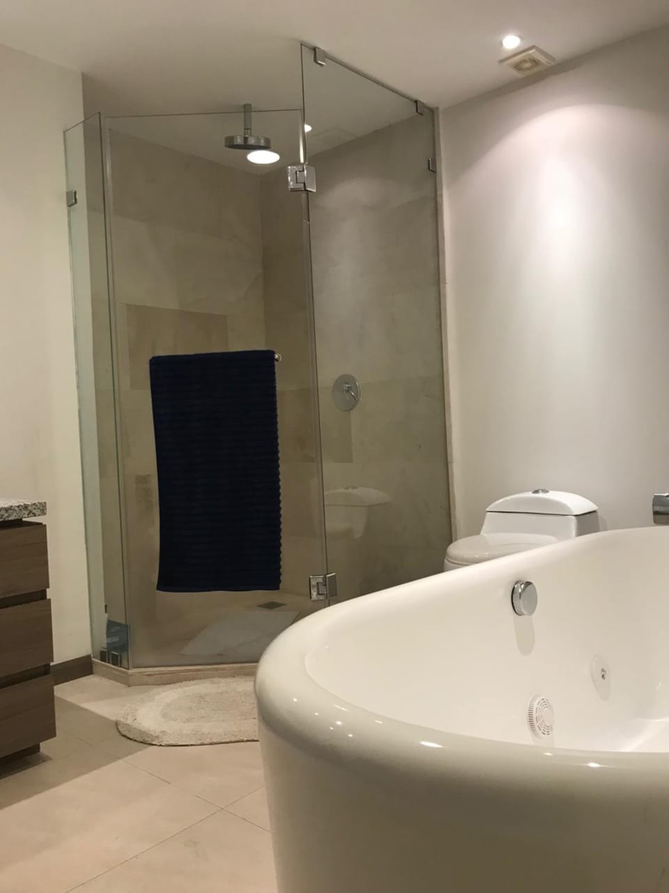 Shower, Toilet, Hot Tub, Massage, Bathroom