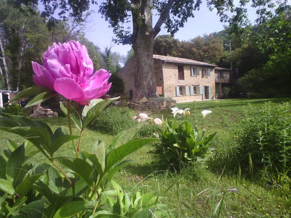 Property building, Garden