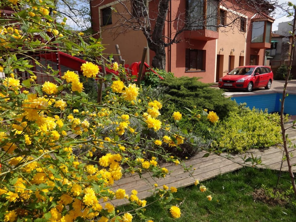 Property building, Garden
