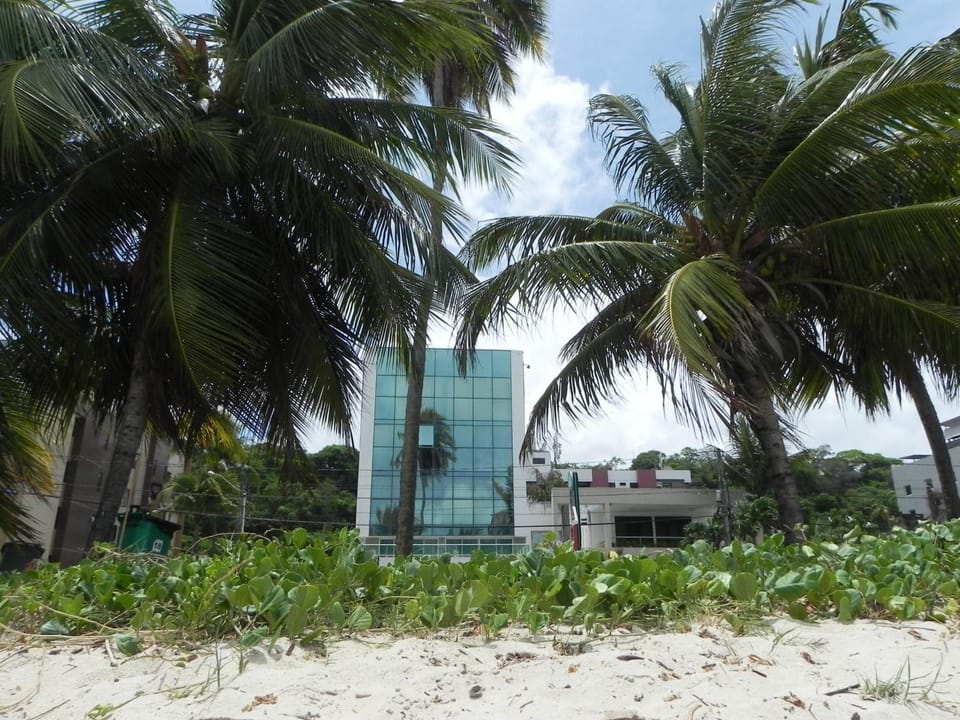Property building, Natural landscape, Beach, On site, Sea view
