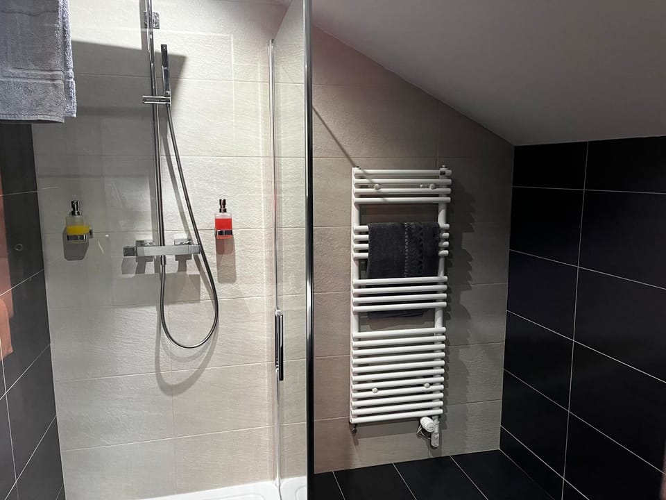 Shower, Toilet, Bathroom, towels