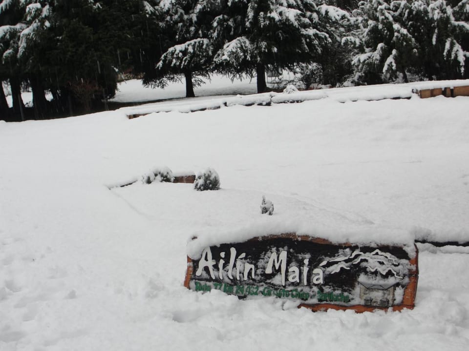 Winter, Garden view