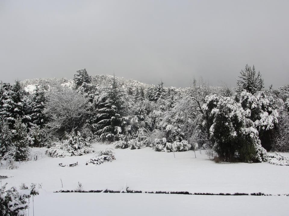 Winter, Garden view