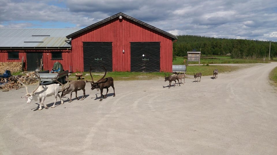 Vestre Sorken Feriegard Country House in Innlandet