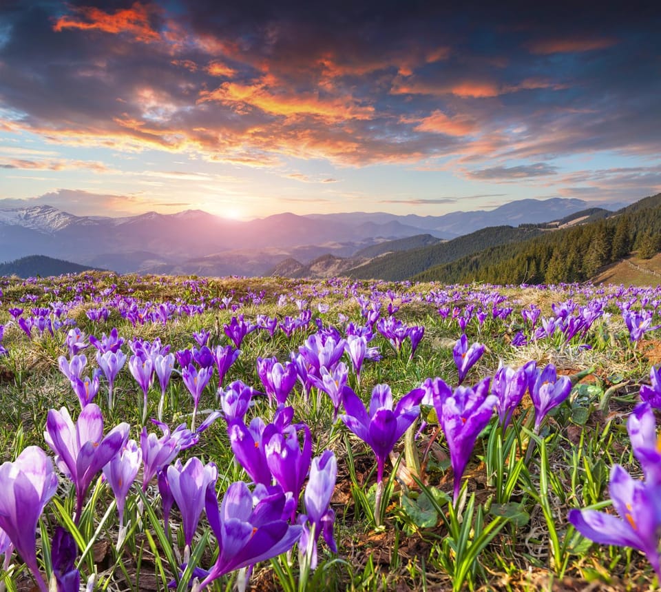 Natural landscape, Sunset