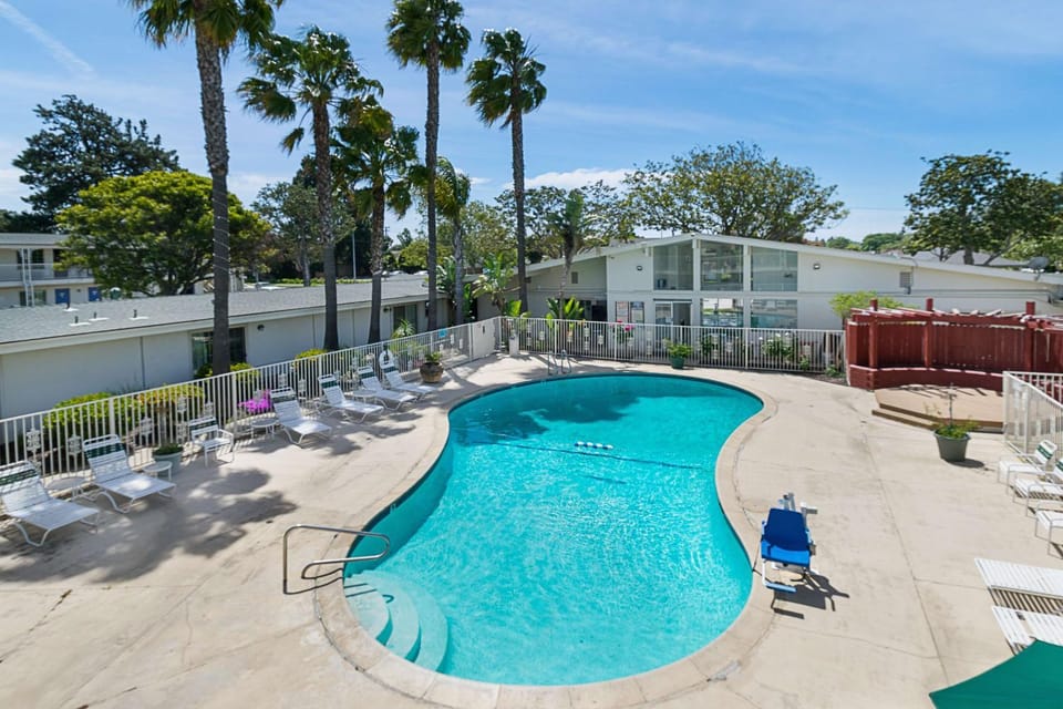 Day, On site, Pool view, Swimming pool, Time of day, ADAM