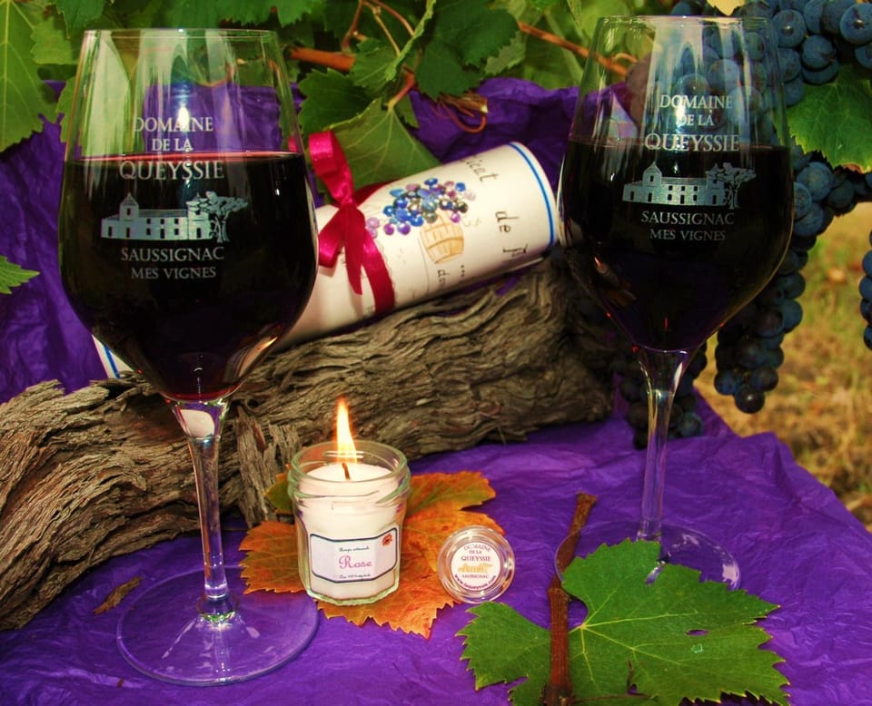 Domaine de la Queyssie Bed and Breakfast in Nouvelle-Aquitaine