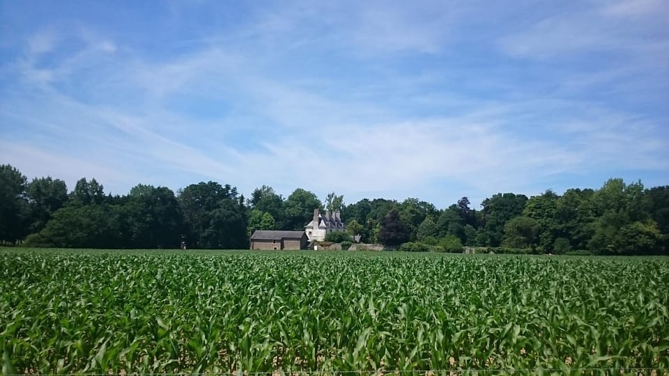 View (from property/room)