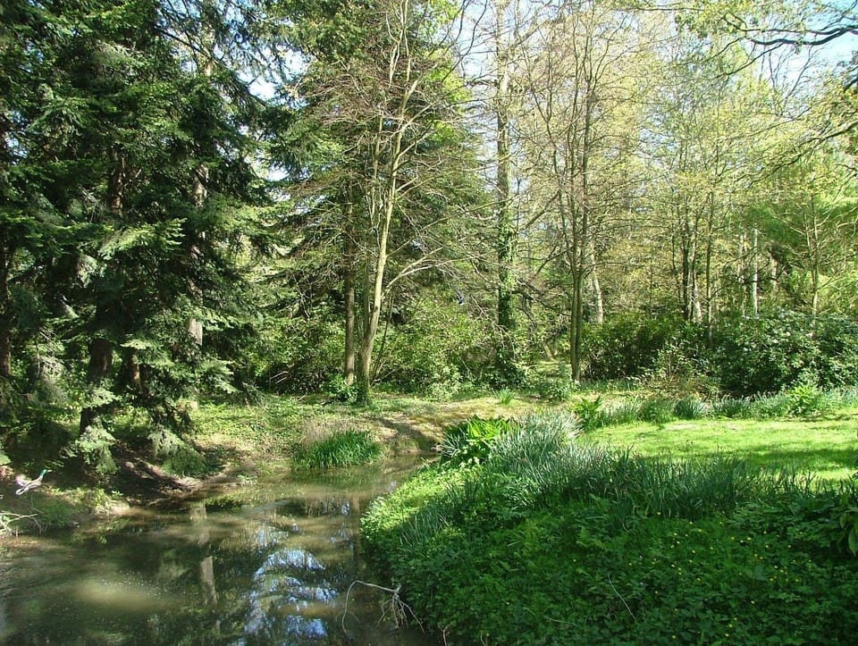 River view