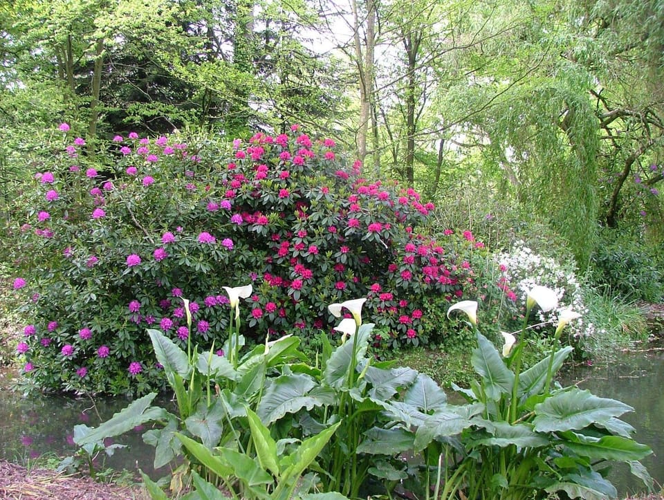 Pavillon de Launay Guibert Bed and Breakfast in Brittany
