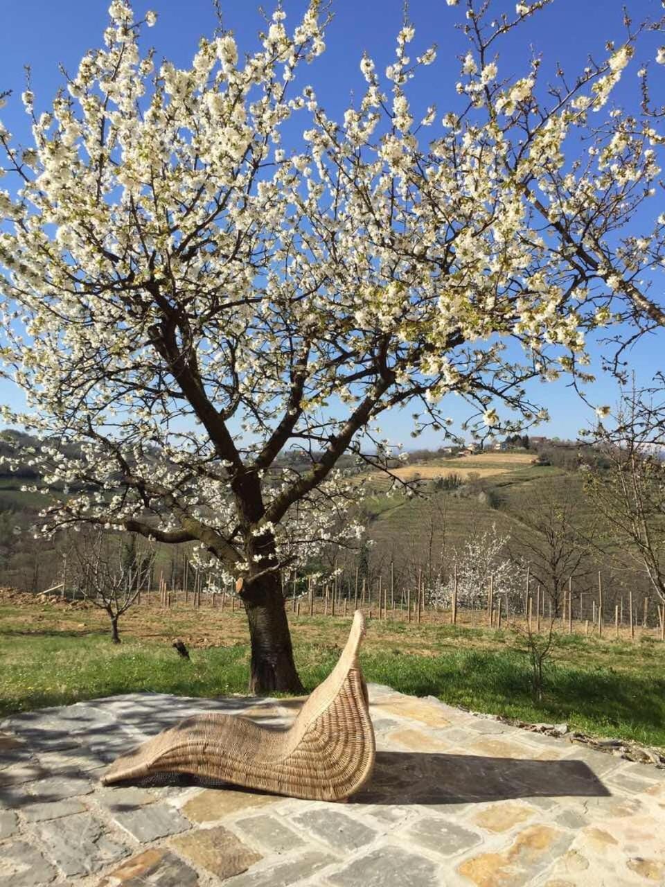 Spring