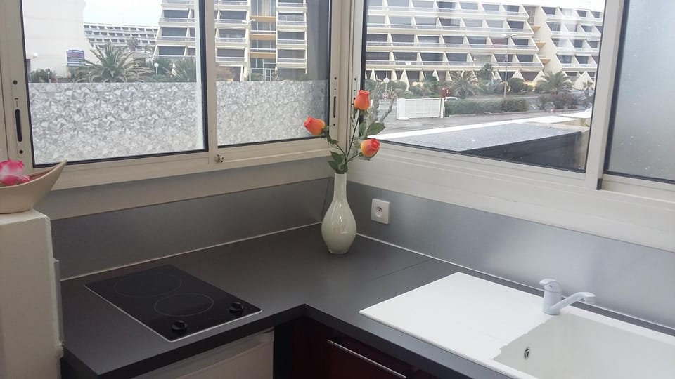Port nature 3 Apartment in Agde